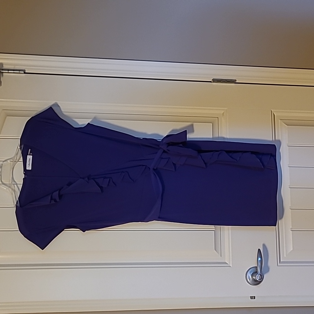 Calvin Klein dark purple sleeveless dress w/ belt
